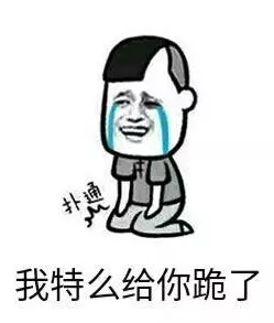表情：给你下跪