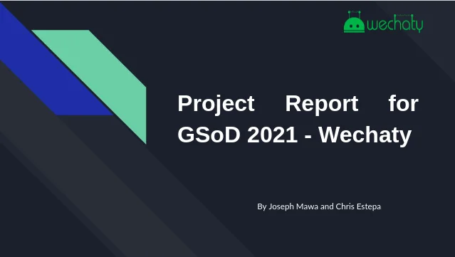 Google Season of Docs 2021 Team Report - Introduction and Explanation