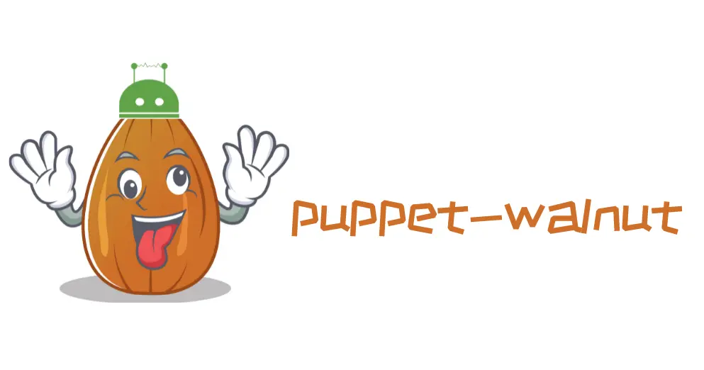 支持5G消息的 puppet-walnut 接入介绍