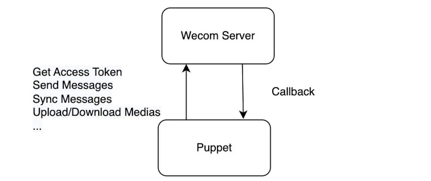structure-1.webp