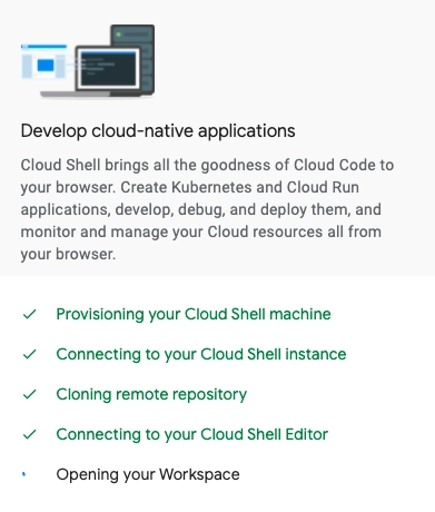 Google Cloud Shell: Wait for provisioning